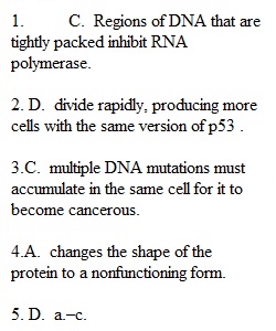 Chapter 11 Quiz